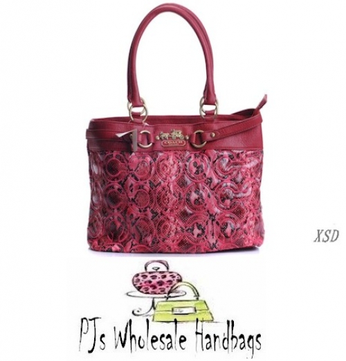 Desinger Coach Handbag