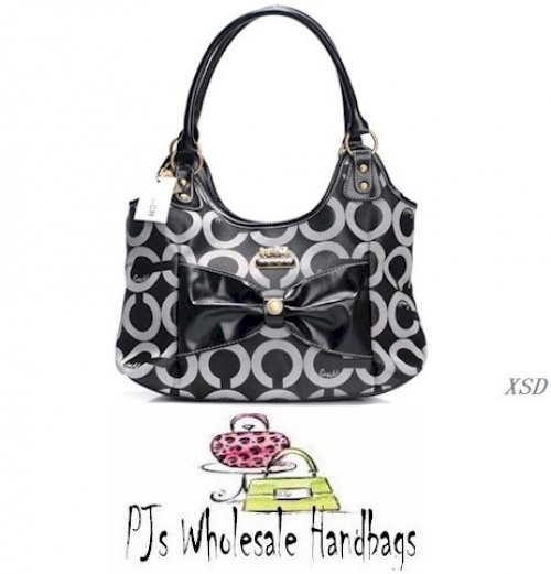 Desinger Coach Handbag