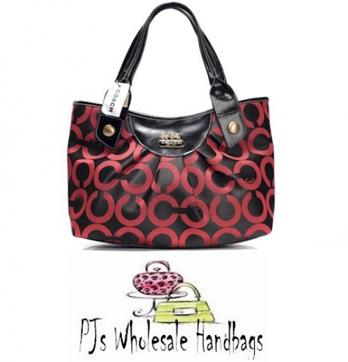 Desinger Coach Handbag