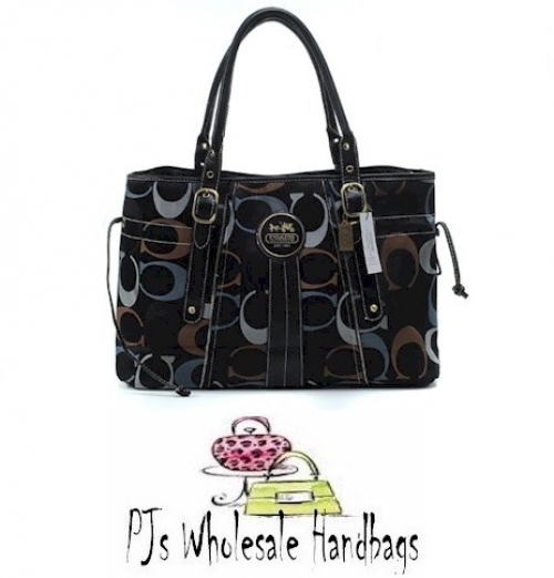 Desinger Coach Handbag