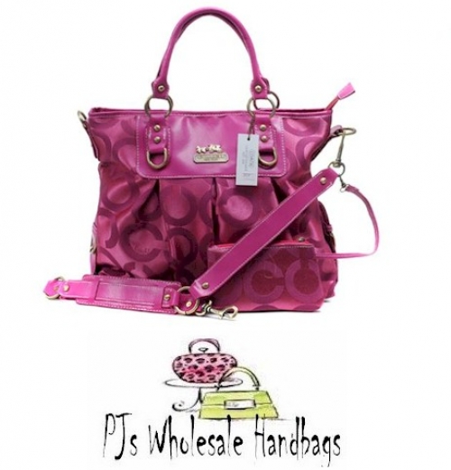 Desinger Coach Handbag